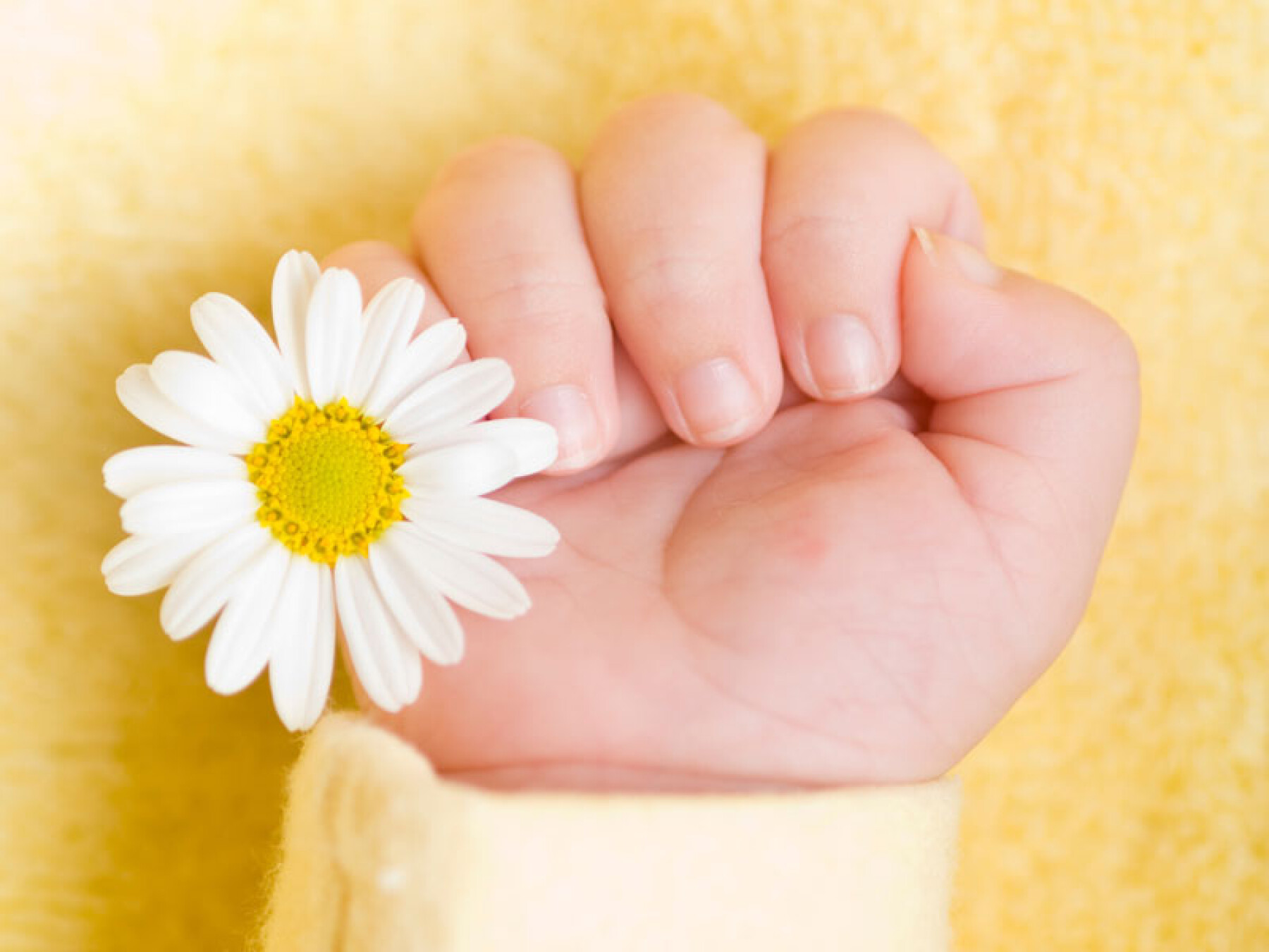 Prenoms Fleuris Une Eclosion De Douceur