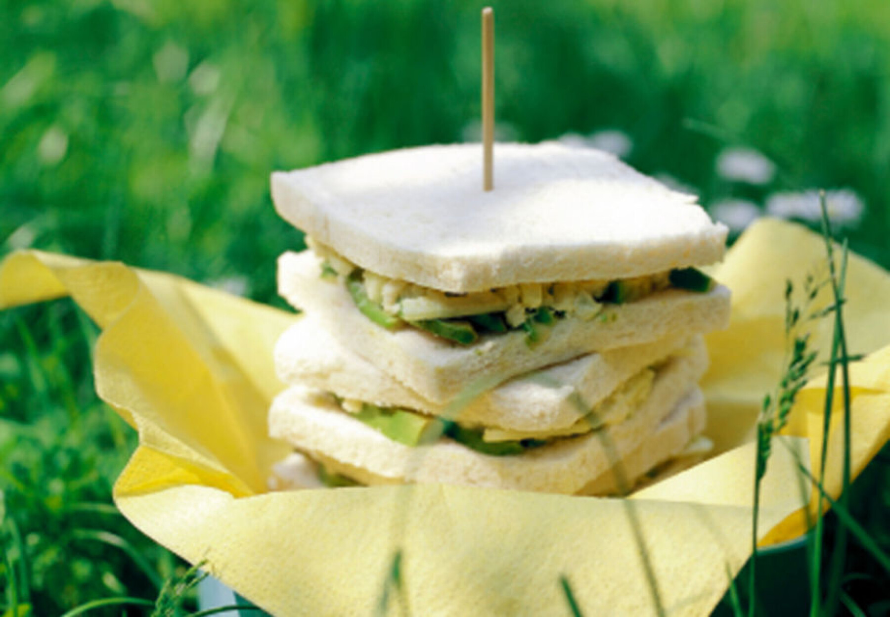 15 Recettes Finger Food Pour Vos Loulous