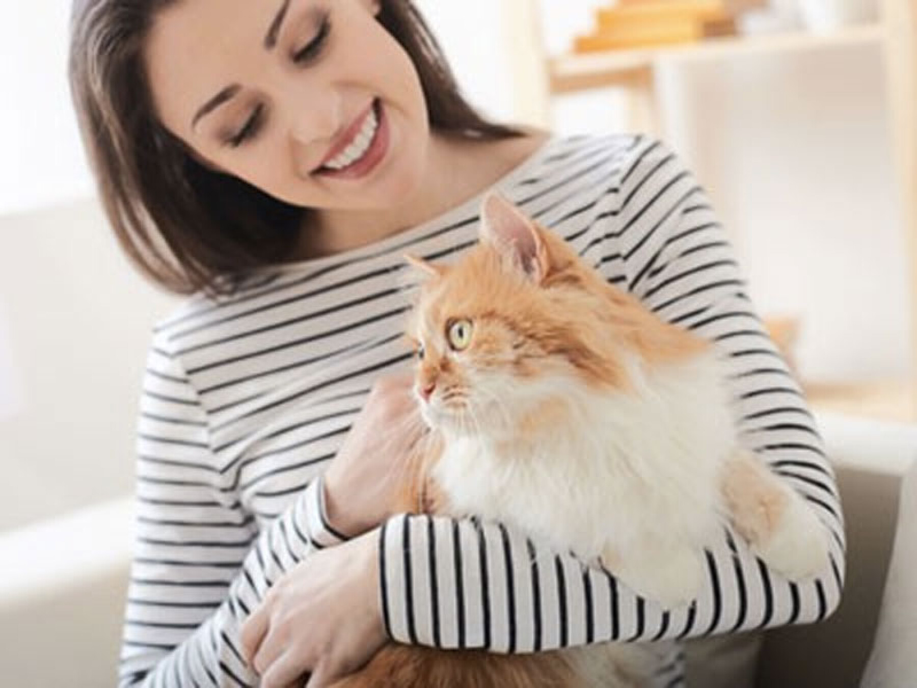 Toxoplasmose Que Faire Avec Mon Chat