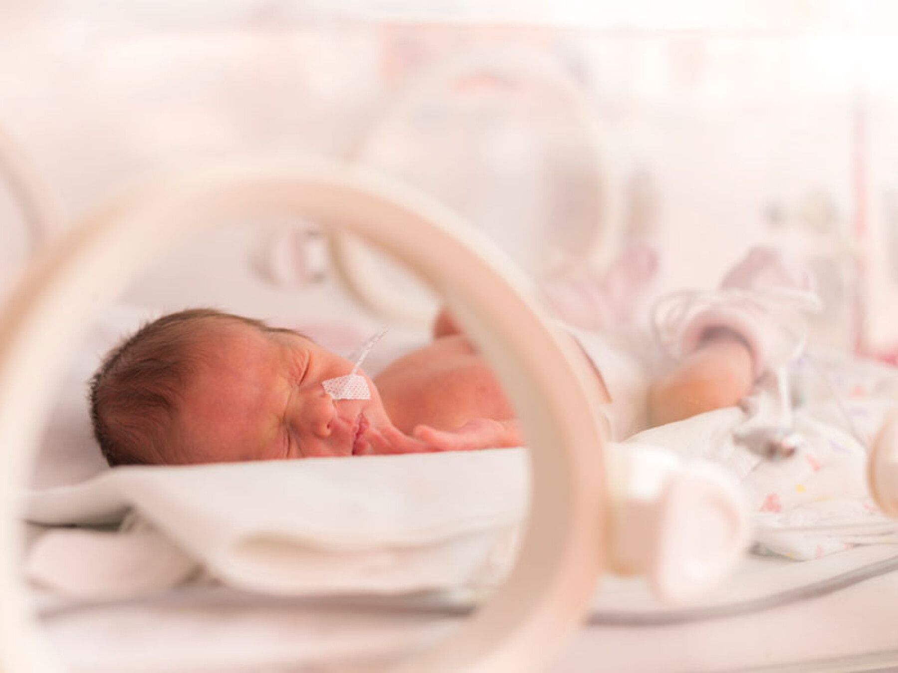 Varicelle Phyto Homeo Les Remedes Nature