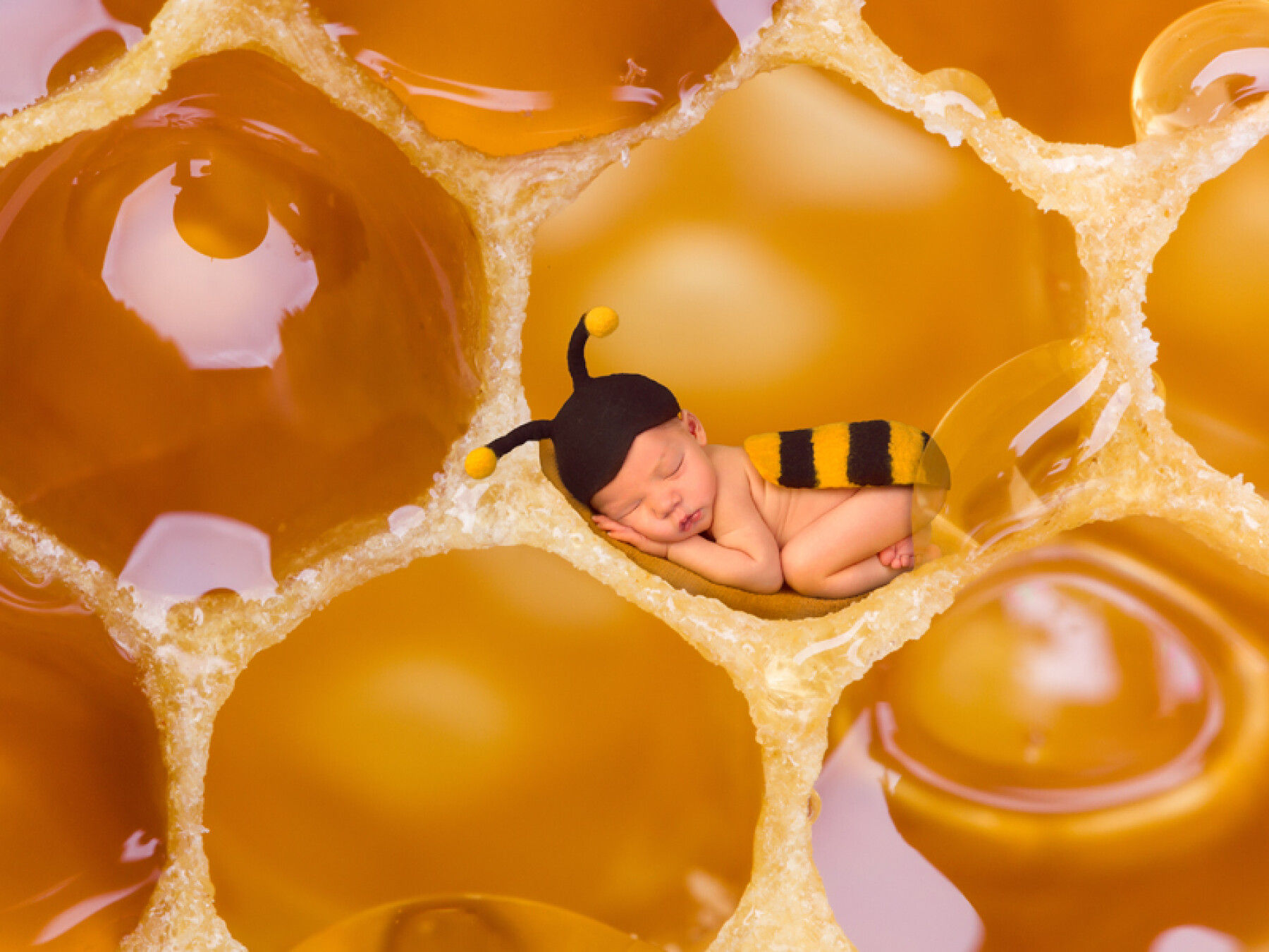 Pas De Miel Pour Les Bebes