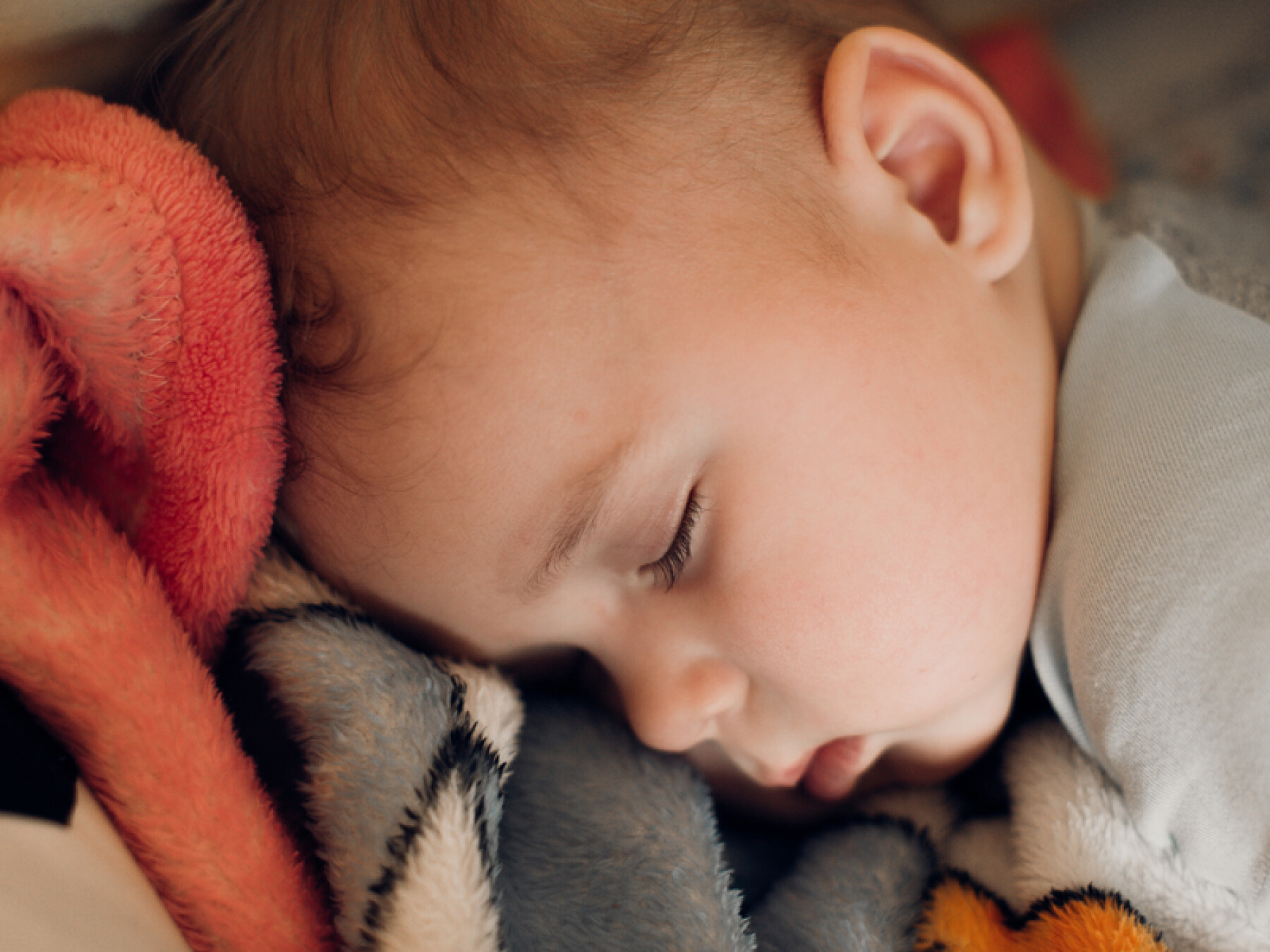 Perte D Appetit Que Faire