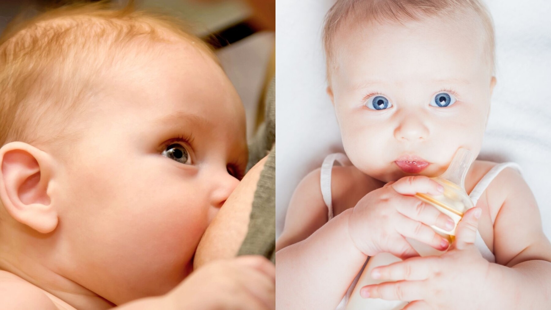 Ces Microbes Bons Pour La Sante De Bebe