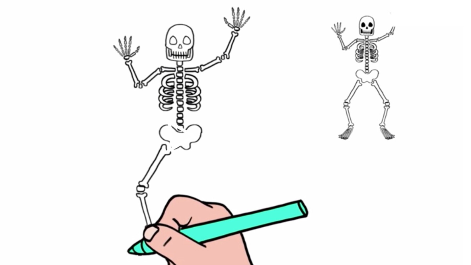 Comment Dessiner Un Squelette