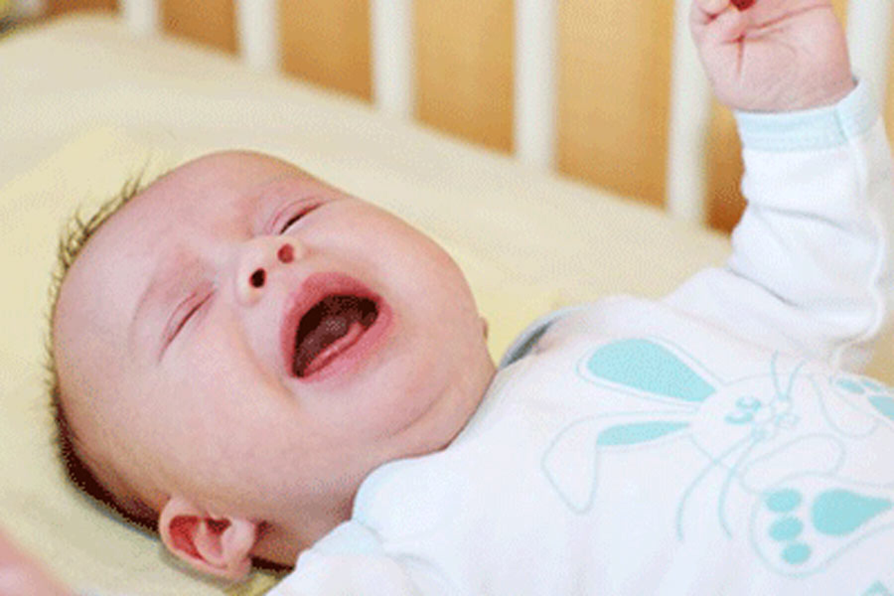 Dents De Bebe L Ordre De Sortie