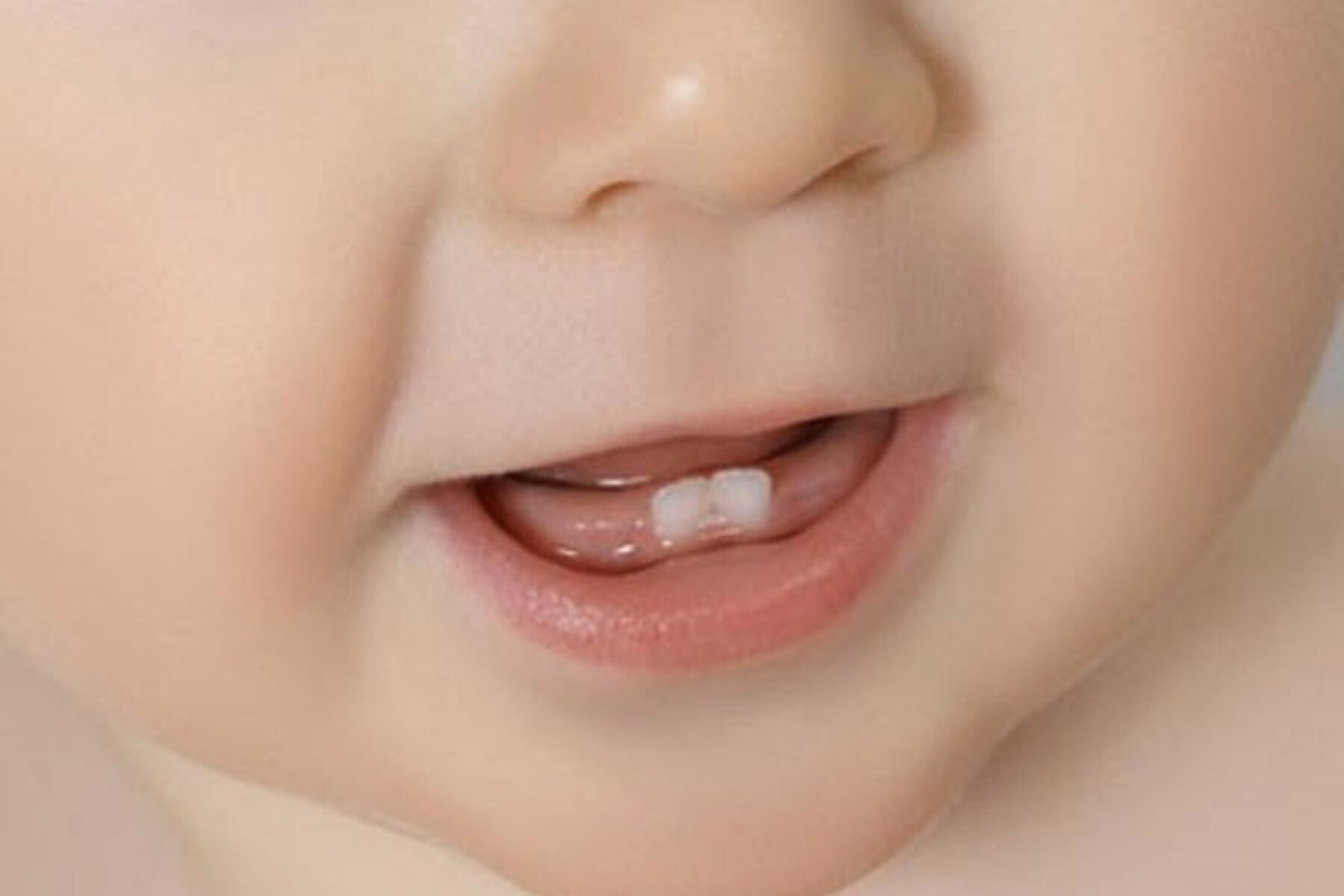 Dents De Bebe L Ordre De Sortie