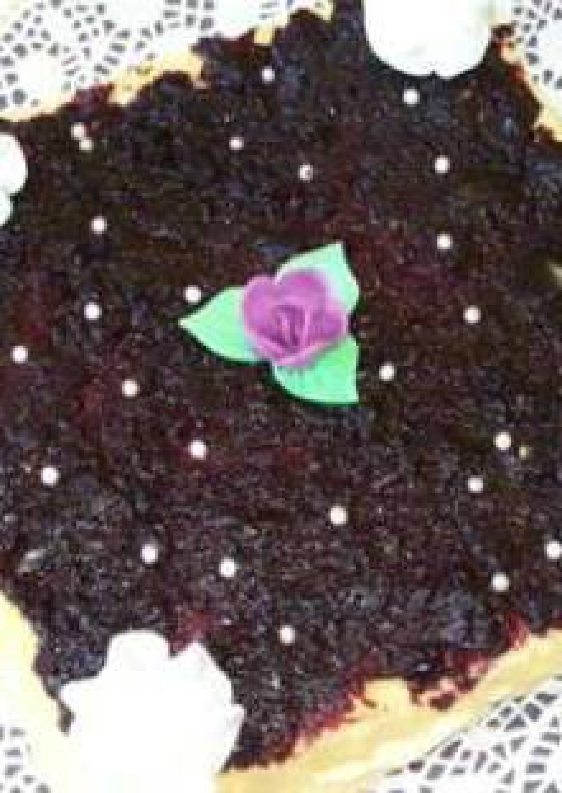 Gateau A La Mousse D Abricot