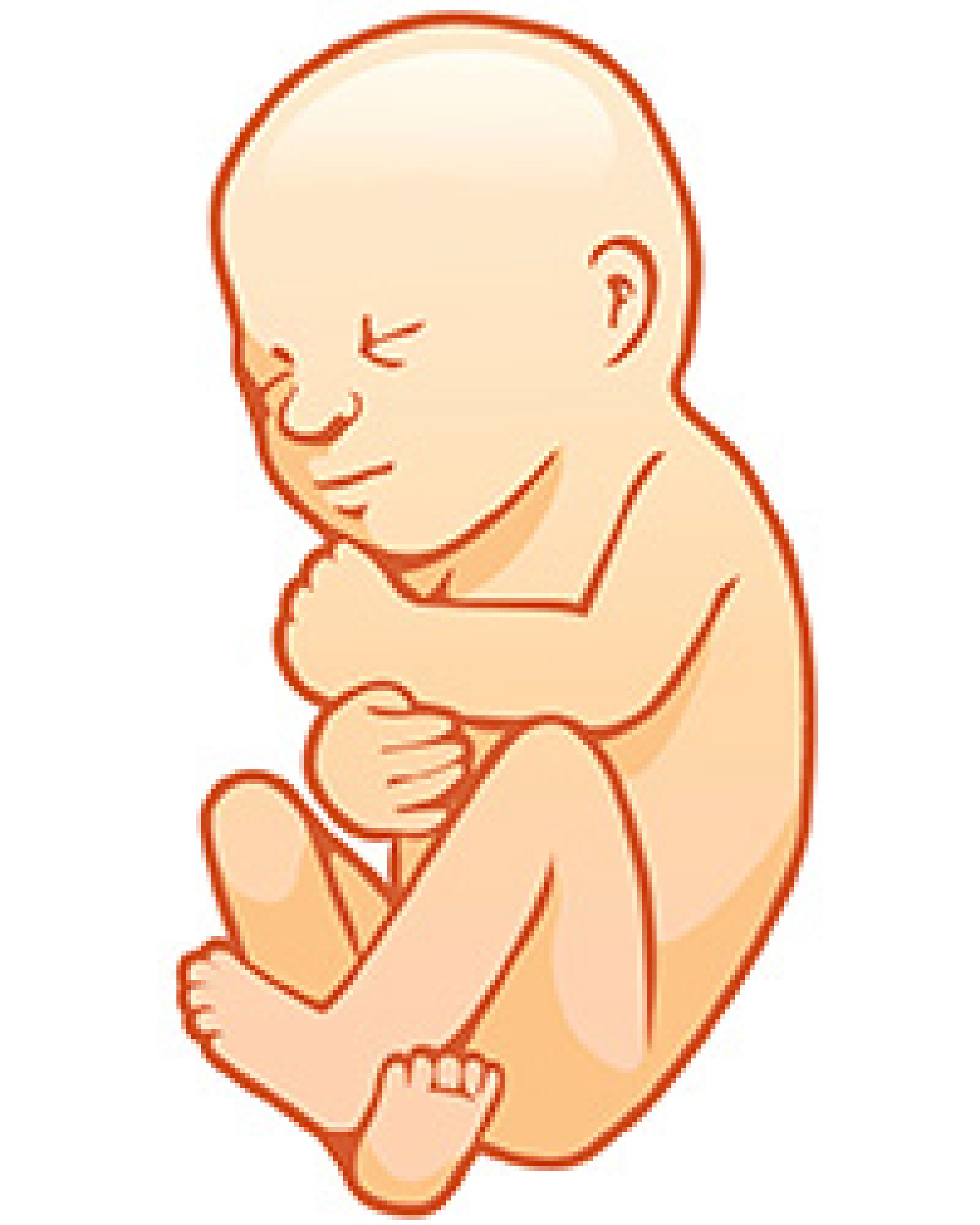 Signe Que Le Coeur Du Bébé Ne Bat Plus Quand son cœur bat-il in utero