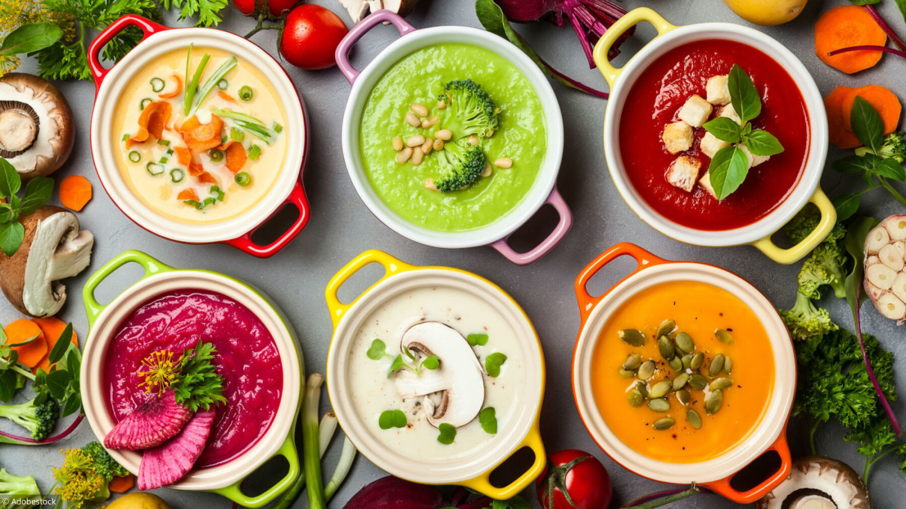 Comparatif Six Soupes Pour Un Hiver En Pleine Forme