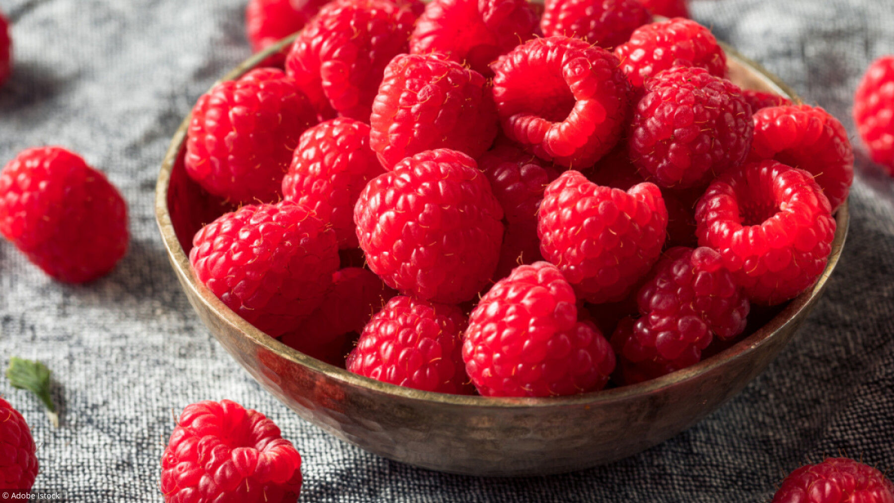 La Framboise Une Petite Baie Au Grand Pouvoir